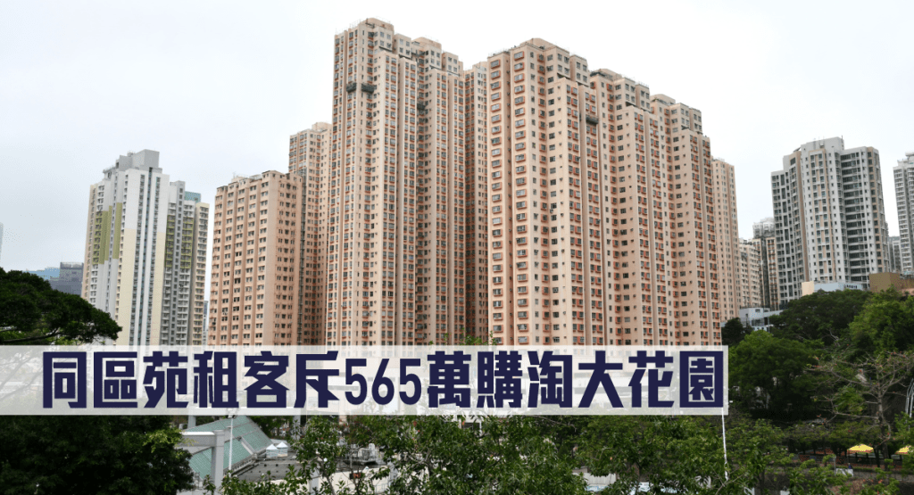 同區苑租客斥565萬購淘大花園。