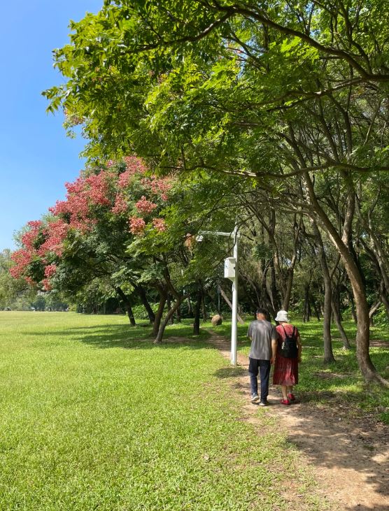 蓮花山公園適合親子秋日遊