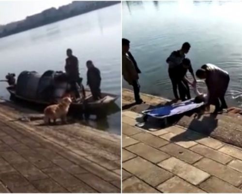 金毛犬救起女主人後，遲遲未見男主人上岸，一直在岸邊徘徊。(左)；男子因不諳水性，不幸遇溺身亡。(右) 網上圖片
