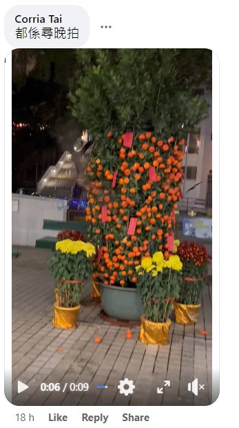 有網民上載「都係尋晚（10日，年初一）拍」的短片。fb「麗城花園之友」截圖