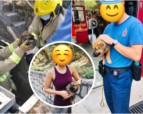 有港女偶遇被困井底的小狗，事後決定將其收養，近日更帶小狗到消防局探望拯救牠的消防員。網民Helen Kitty Chan圖片