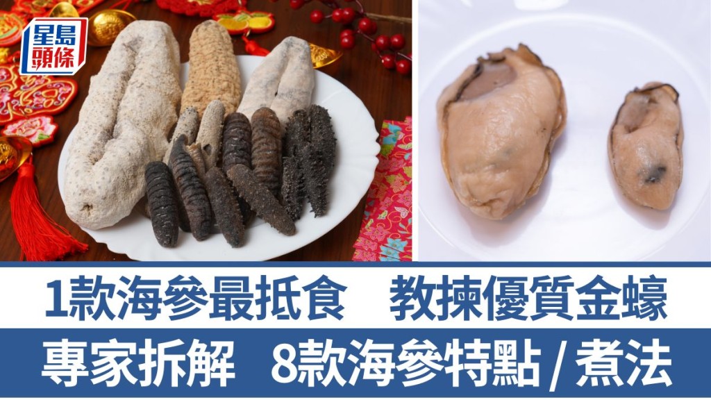海參及金蠔點樣揀？專家講解8款海參/2款金蠔特點 1款最抵食｜食材知識 
