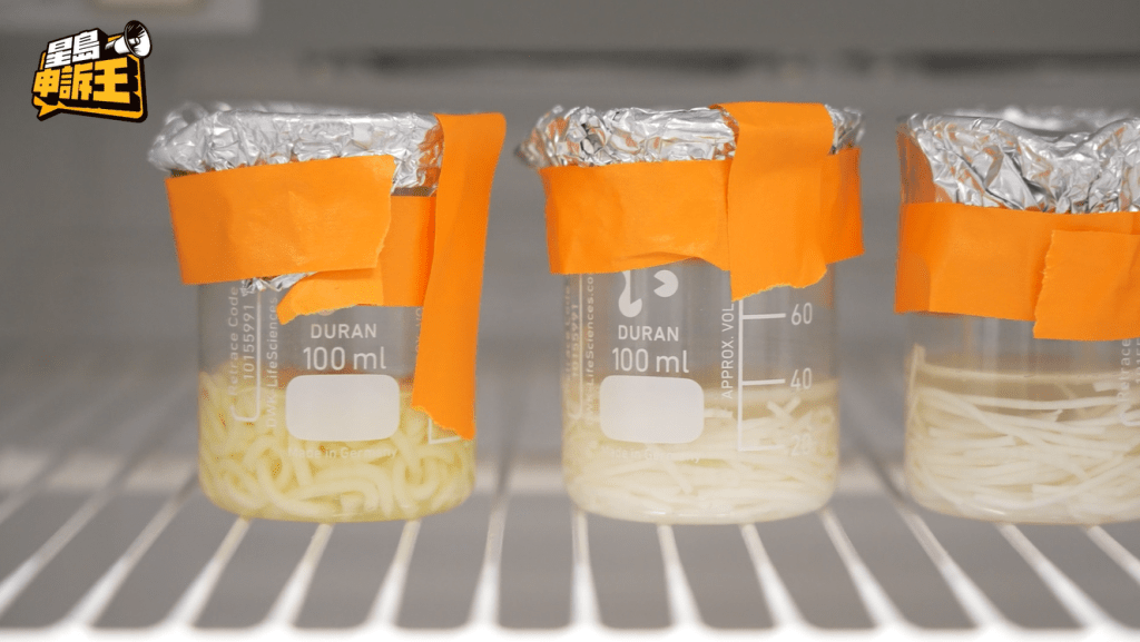 微生物實驗步驟四：將4款樣本放置在恆溫箱兩日。