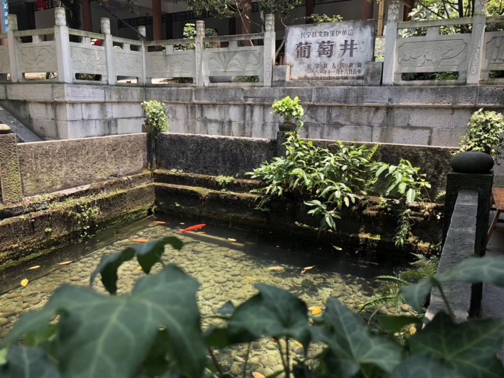 「葡萄井」再現湧泉。網上圖片