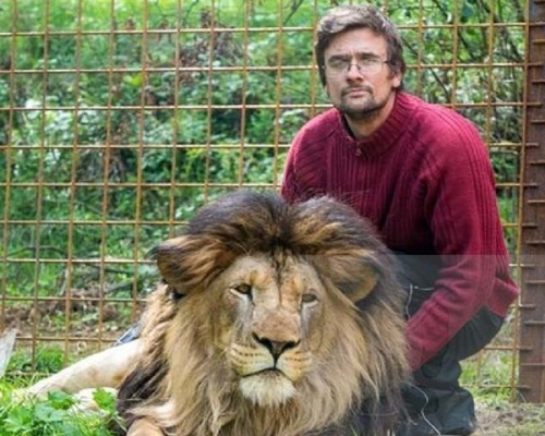 捷克男子遭自己養的獅子咬死 。網上圖片