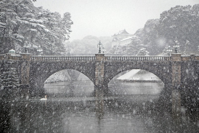 大雪下的東京。新華社