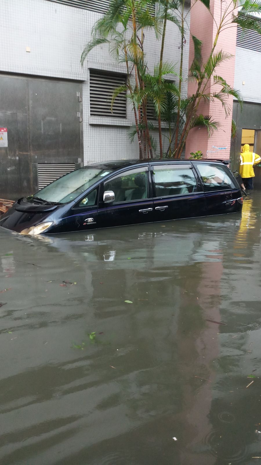 居民指近年台风季节，马环村仍经常出现水浸。