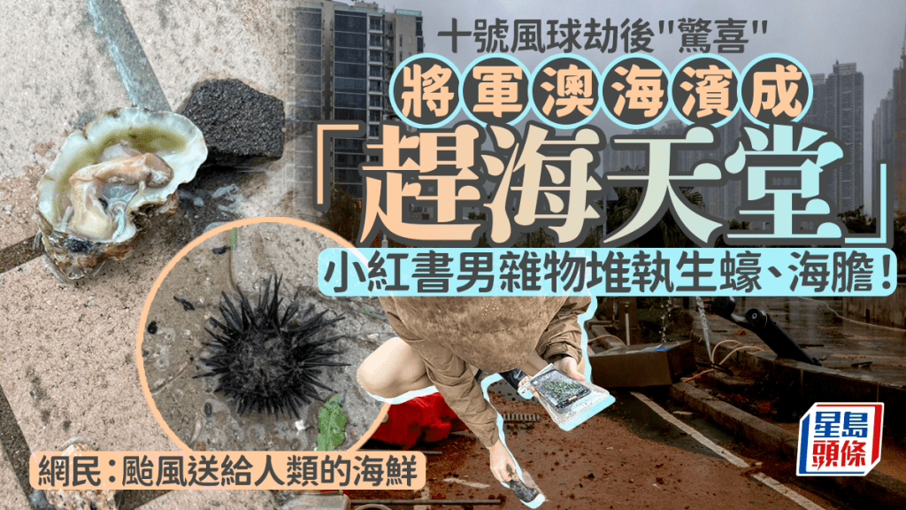 將軍澳海濱劫後成「趕海天堂」？小紅書男雜物堆執生蠔/海膽 網民：颱風送給人類的海鮮