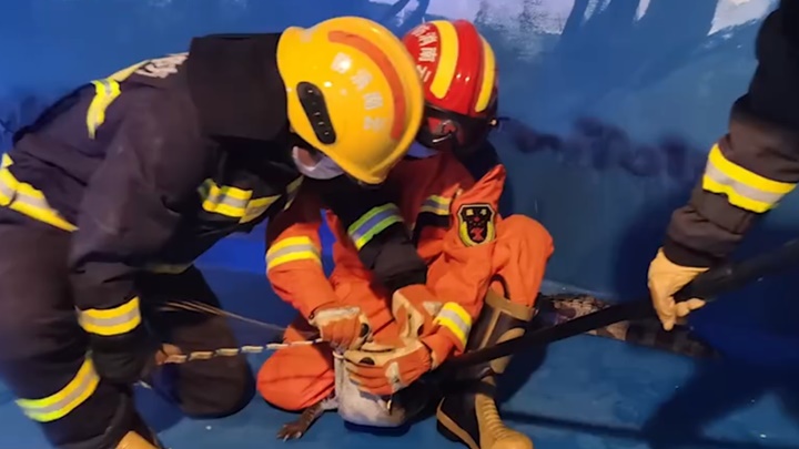 消防員花費40分鐘與鱷魚「搏鬥」。網上影片截圖