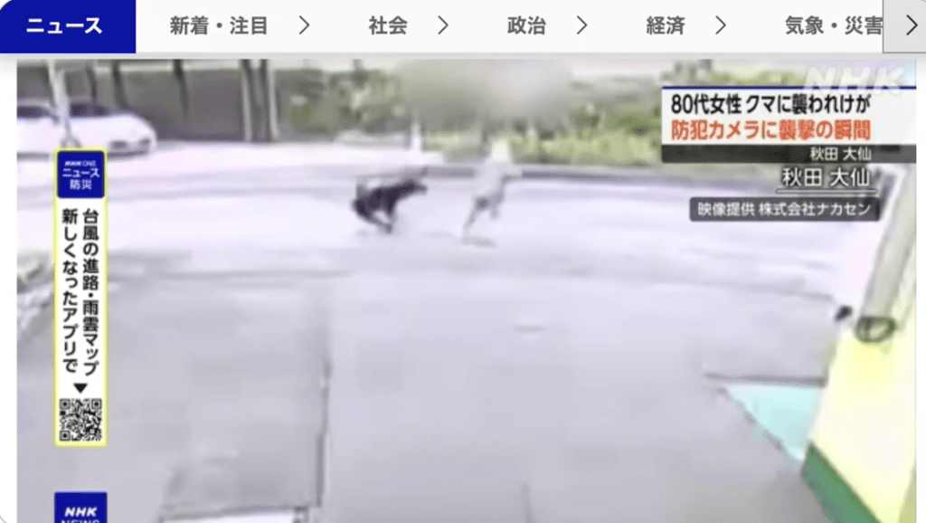 監視畫面顯示,老婦正在路上行走時,一頭體長約80公分的黑熊突然從後方衝出,跳起攻擊她。NHK新聞畫面截圖 監視畫面顯示,老婦正在路上行走時,一頭體長約80公分的黑熊突然從後方衝出,跳起攻擊她。NHK新聞畫面截圖
