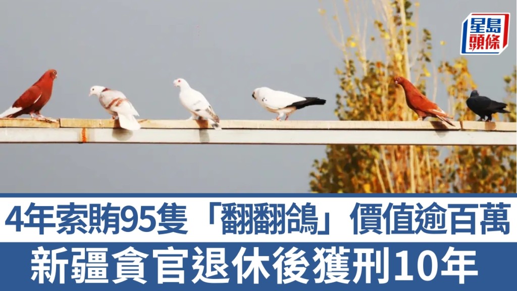 4年索賄95隻「翻翻鴿」，價值逾百萬，新疆「鴿迷貪官」退休後獲刑10年。  理財氫氣球