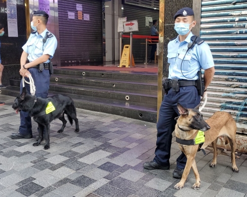 一隻警犬樣本對新冠肺炎病毒測試呈陽性反應。資料圖片
