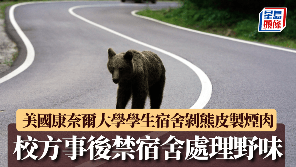 美國康奈爾大學學生宿舍剝熊皮製煙肉 校方事後禁宿舍處理野味。路透社資料圖片