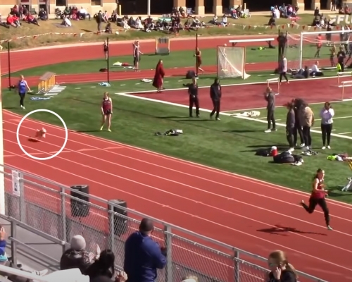 狗狗突然衝入跑道。影片截圖