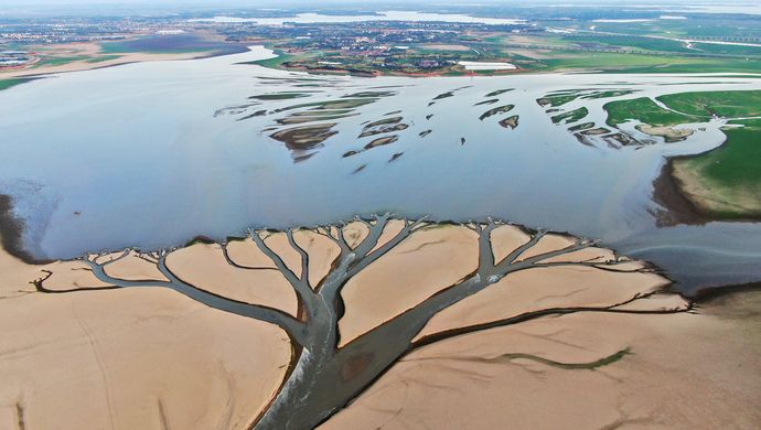 湖床上殘存的水脈呈樹枝形狀。