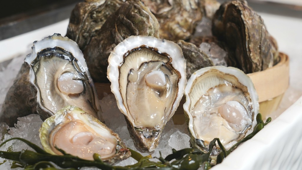 本港近期进食生蚝引发诺如病毒食物中毒个案上升。资料图片