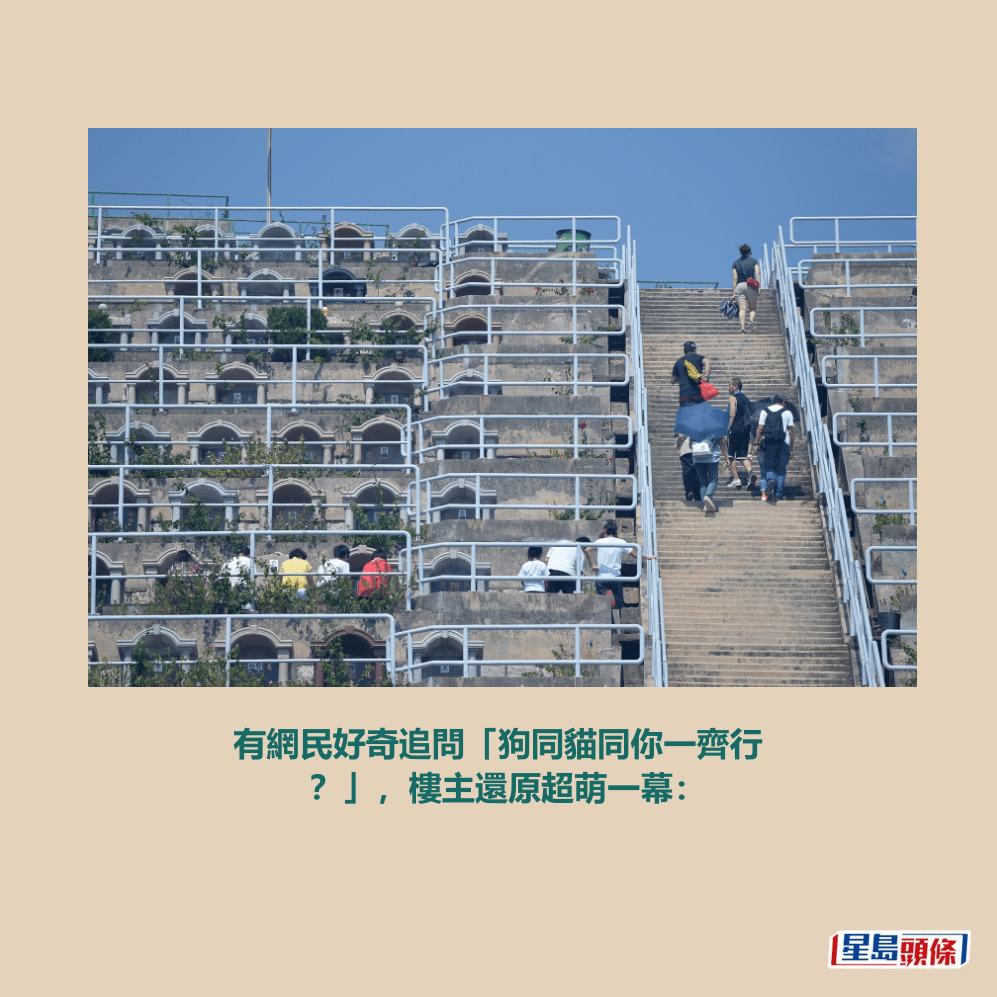 資料圖片 資料圖片