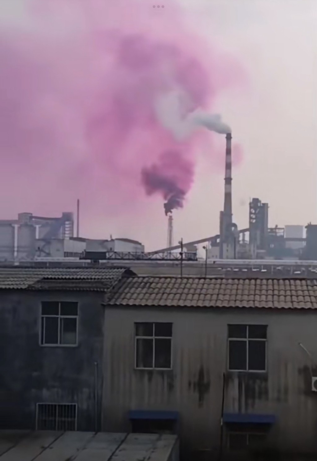 化肥厂声称紫烟无毒无污染。