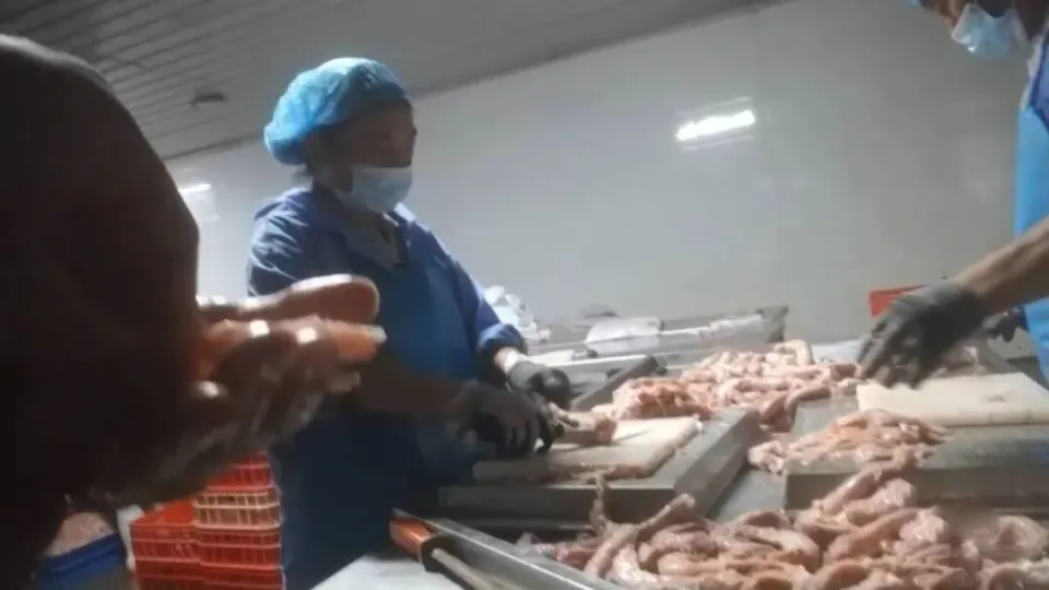 内媒揭发河南多间工厂用鸡脖泥做馅料，撒尿牛丸“牛肉味纯靠牛肉膏（香精）”！ 闪电新闻