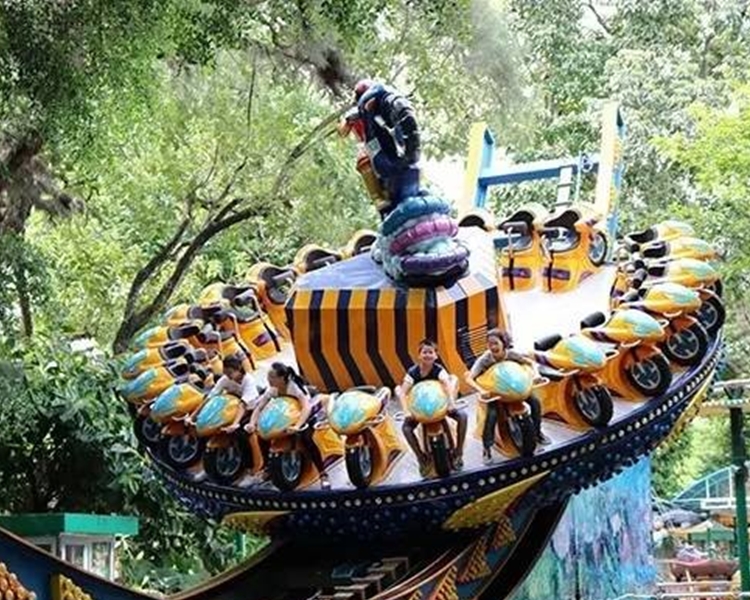 東湖公園遊樂場的遊樂設施。(網上圖片)