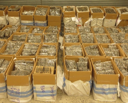 海關檢獲約1.4公噸懷疑乾製大壁虎，估計市值約124萬元。海關圖片