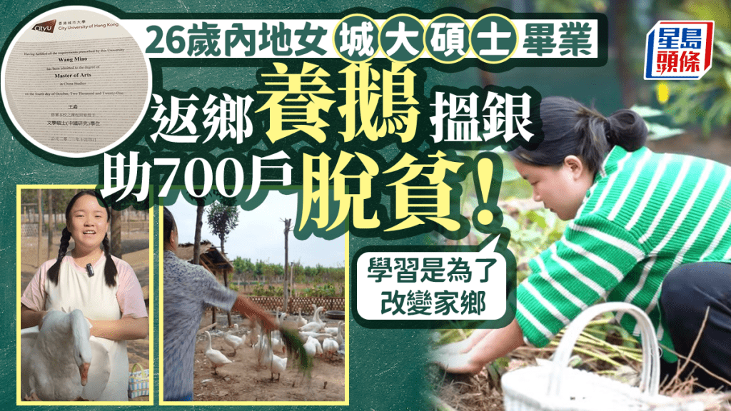 城大碩士畢業26歲內地女回鄉務農！創業養鵝年收入超驚人 助700戶脫貧/1,000婦女就業