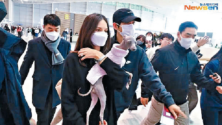 ■宋仲基緊張護住老婆,Katy手上的鑽戒好大粒。 ■宋仲基緊張護住老婆,Katy手上的鑽戒好大粒。