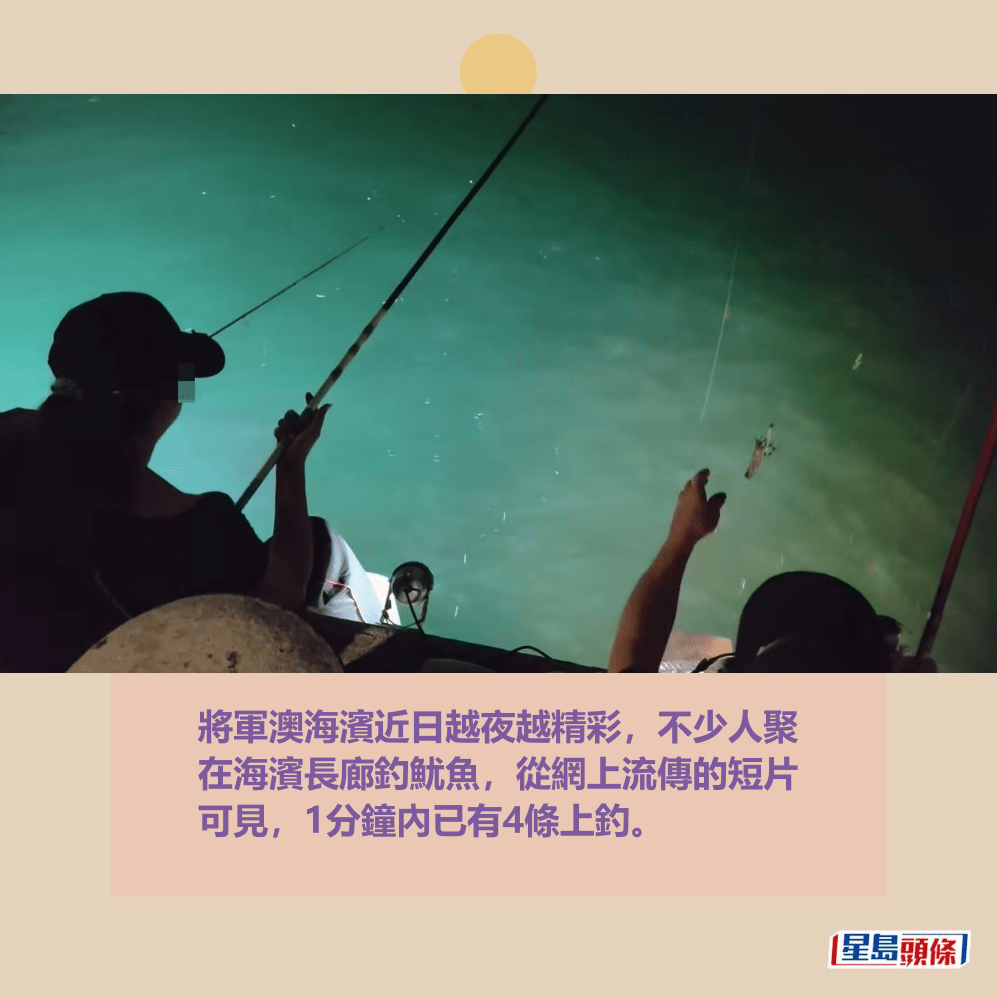 將軍澳海濱近日越夜越精彩,不少人聚 在海濱長廊釣魷魚,從網上流傳的短片 可見,1分鐘內已有4條上釣。fb「將軍澳主場」截圖 將軍澳海濱近日越夜越精彩,不少人聚 在海濱長廊釣魷魚,從網上流傳的短片 可見,1分鐘內已有4條上釣。fb「將軍澳主場」截圖