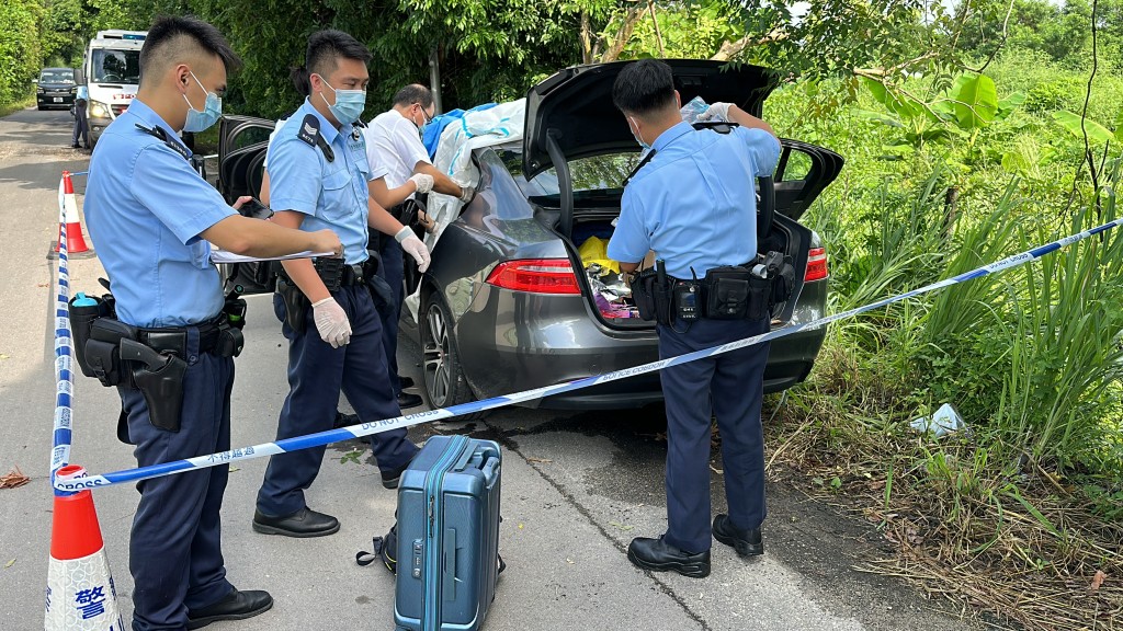 車內有行李篋及背囊。