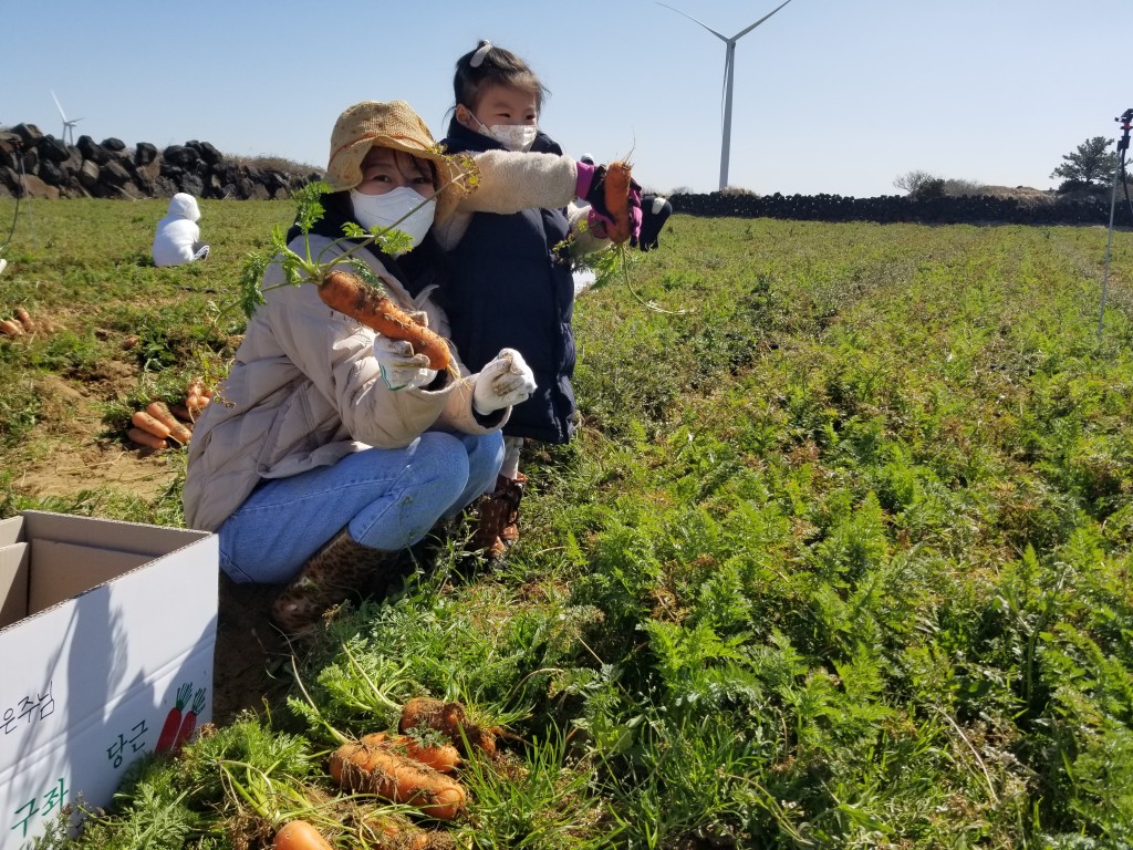Paco說濟州市幼稚園的教育方式以活動教學為主，小朋友可以親身耕種、收割不同農作物，從而獲得豐富的植物知識。