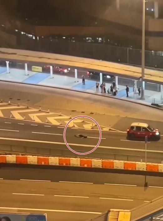 男子倒臥在馬路上。fb車cam L（香港群組）影片截圖