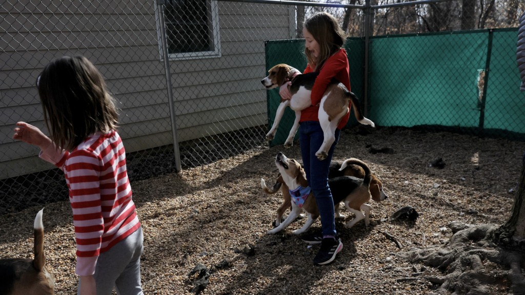 維珍尼亞州西區檢察官卡瓦諾的女兒照顧愛犬。 路透社