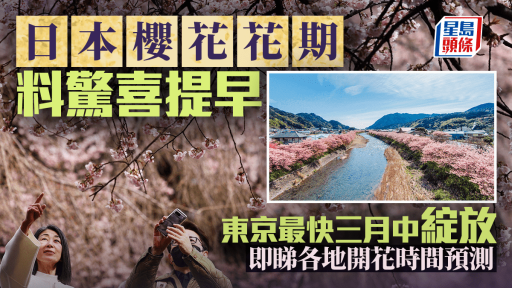 日本櫻花花期料驚喜提早 東京最快三月中綻放 即睇各地開花時間預測