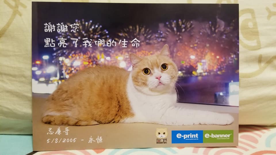 紀念postcard