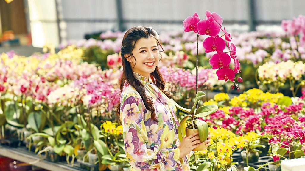 「蘭花大王」楊小龍將精選19款矜貴本地培植香港及日本蘭花，包括8款首次亮相的全新培植品種，寓意美好與繁盛。