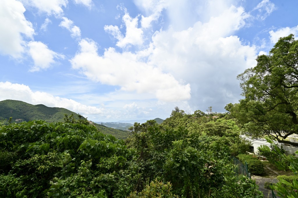 大宅座向東南方，享四周翠綠山景。