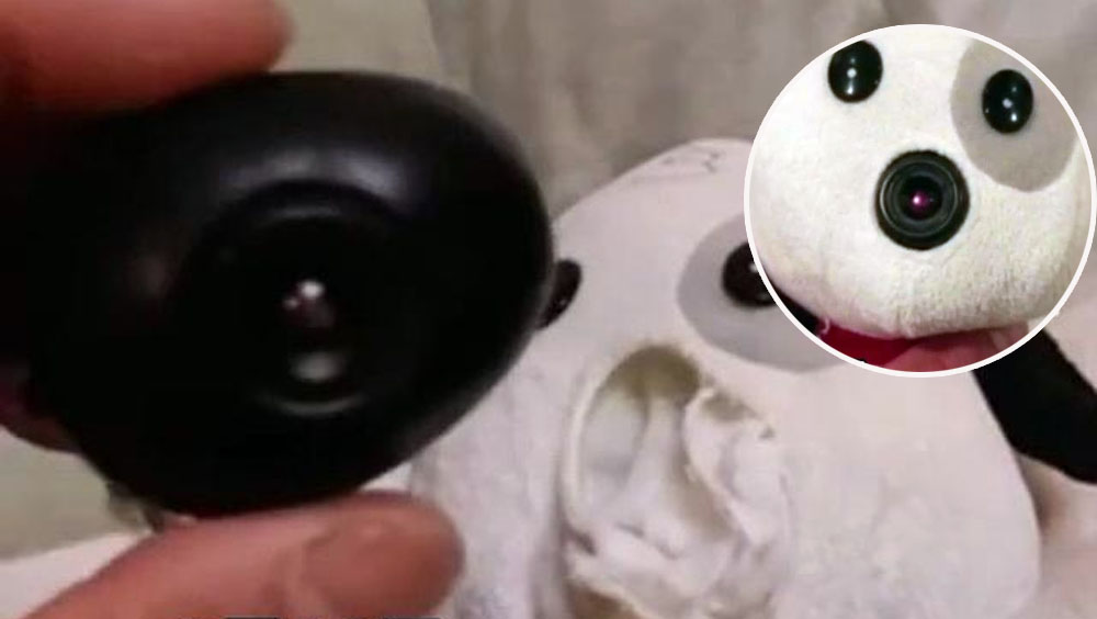 安徽男子地摊赢毛公仔抱回家，姪女惊见鼻子藏镜头。