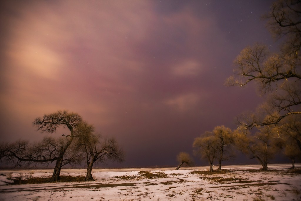 11月12日在黑龍江省嘉蔭縣拍攝的雲層下的絢麗極光。新華社
