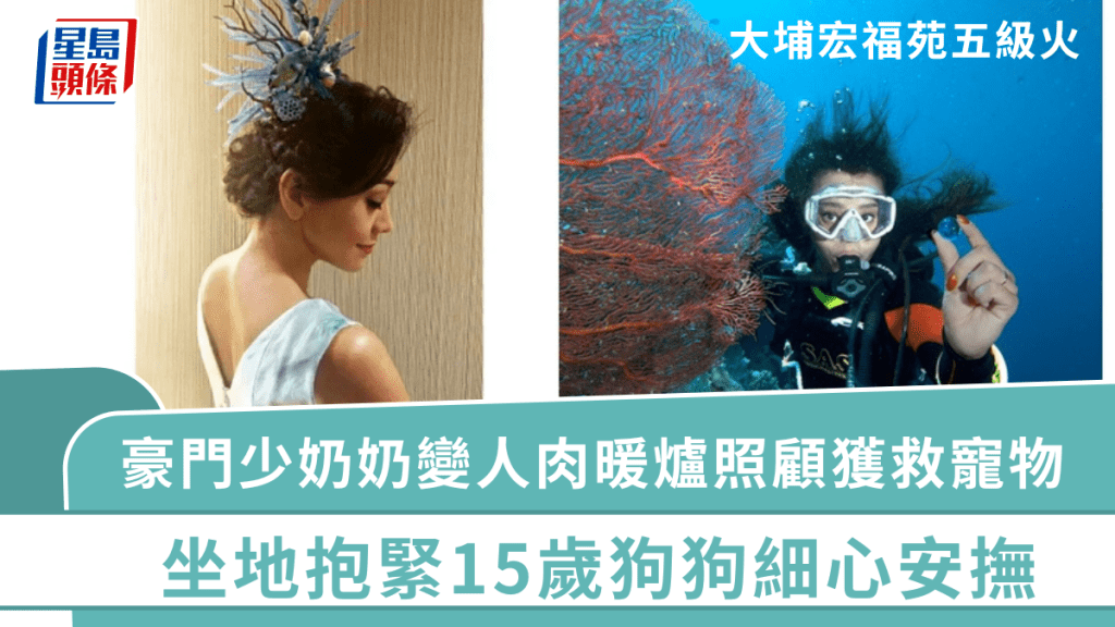 大埔宏福苑五級火｜豪門少奶奶變人肉暖爐照顧獲救寵物 坐地抱緊15歲狗狗細心安撫