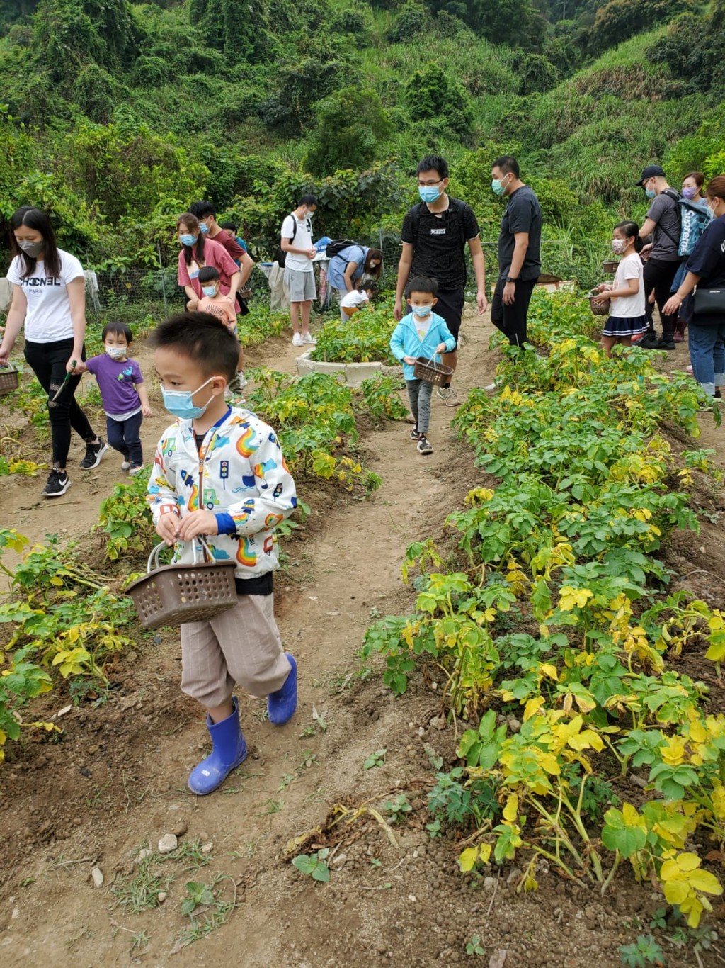 栢陽與其他同伴拿着工具走入田間。