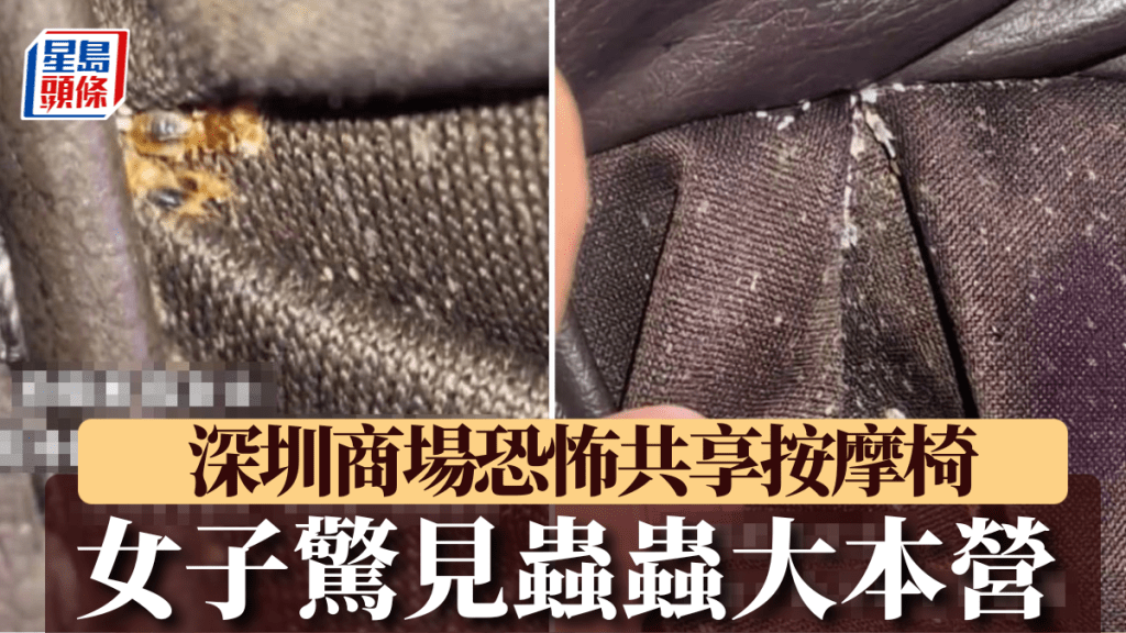 陳女士發現按摩椅下有無數蟲在爬。《羊城晚報》