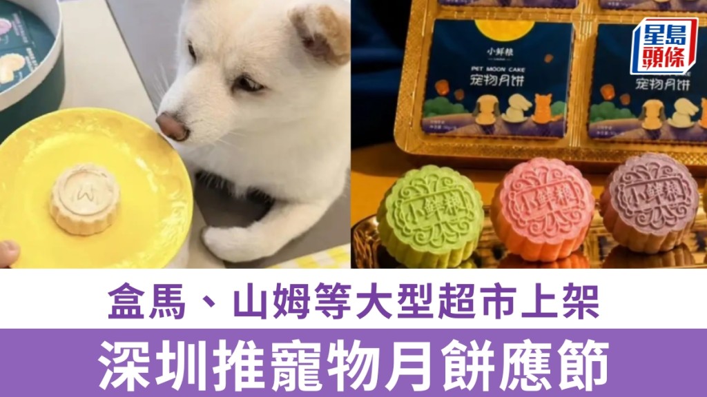 深圳推寵物月餅應節，盒馬、山姆等大型超市上架。