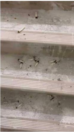 宏盛閣梯間遺下大量煙頭。委員會文件