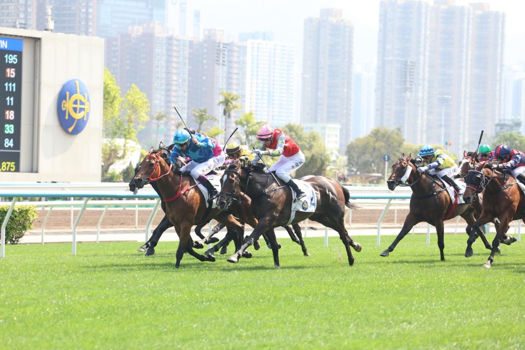 今日第五场四班千六米，当参战马过终点时，电算机银幕随即打岀研讯灯号，因为竞赛小组怀疑直路上发生碰撞事件。