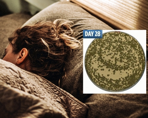 有研究發現，當床單持續使用一個月，會衍生引致肺炎、淋病等的危險細菌。unsplash圖片