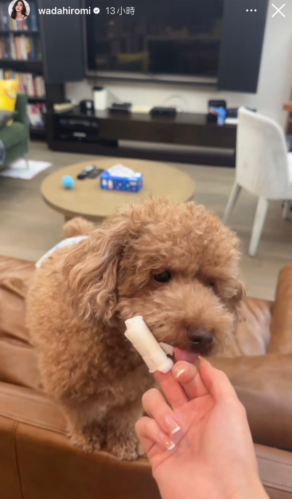 相中見兩張染滿血的紙巾，裕美用紗布包紮住手指，認真多災多難。