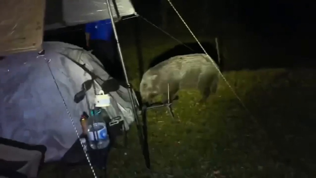 Threads截圖(資料來源:szewai_li@Threads) Threads截圖(資料來源:szewai_li@Threads)