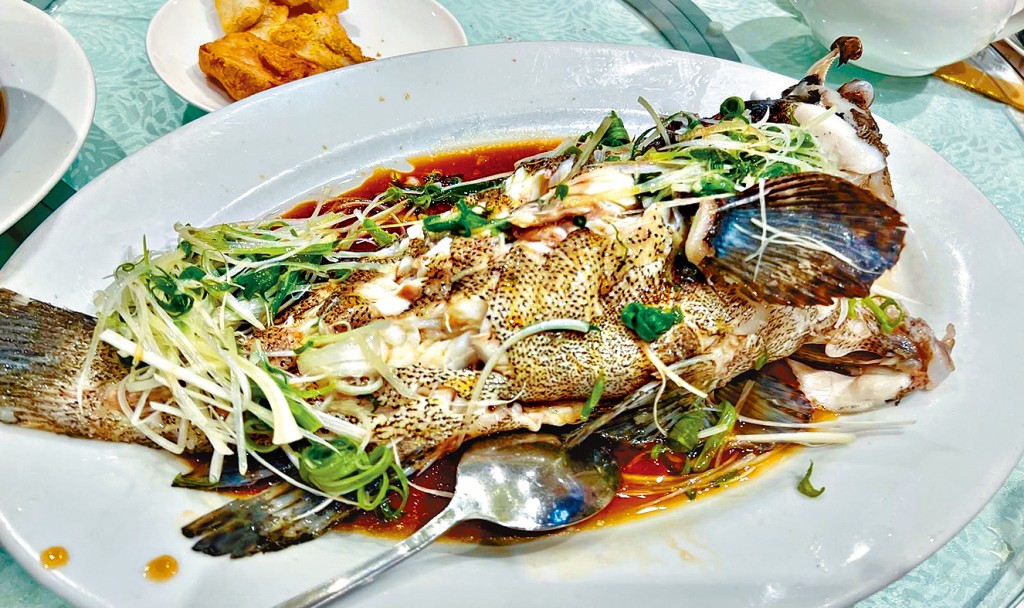 清蒸黄皮老虎斑 清蒸黄皮老虎斑