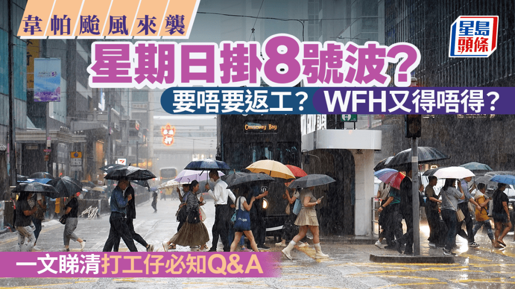 颱風韋帕逼近本港，作為「打工仔」，最關心「使唔使返工」、「打風喺屋企要唔要WFH」，以及「落波幾點要返公司」。