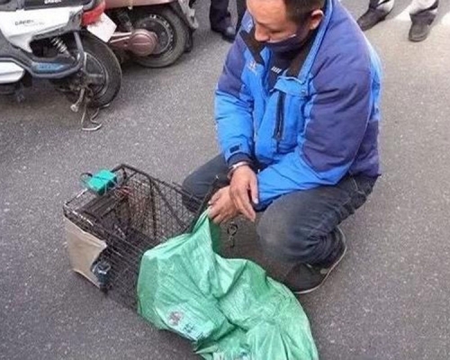 江蘇揚州一名男子捉野貓當兔肉賣給餐廳,警員對其批評教育並沒收作案工具。(網圖)